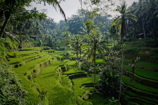 Ubud Bali